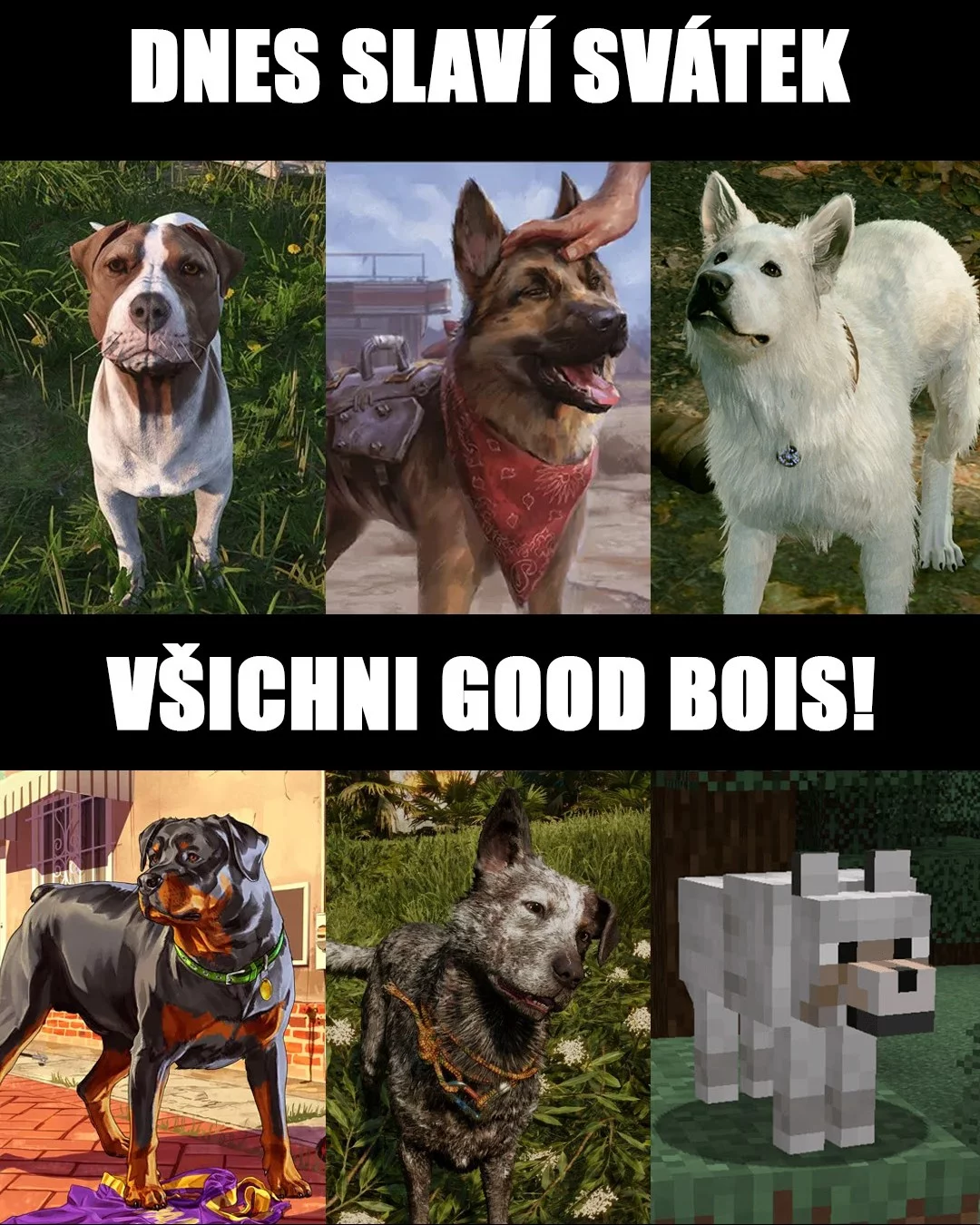 goodboi, dogsoﬁnstagram, doggos