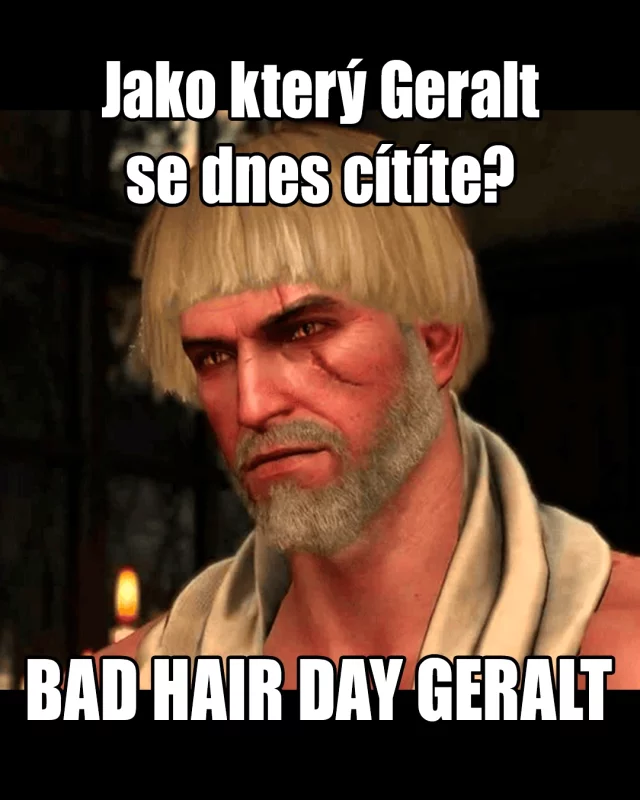 geraltmeme, witcher3wildhunt, geraltofrivia⚔️🐺🐴, songsofthepast