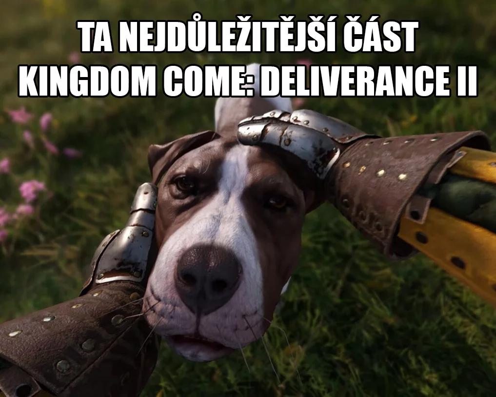 kingdomcomedeliverance, warhorsestudios, kingdomcomedeliverancegame