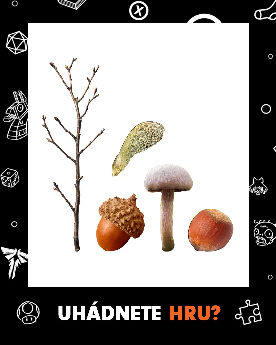 28, 
🌳, Tohle, není, obsah, kapes, po, podzimní, procházce, lesem,, ale, další, herní, hádanka, –, a, určitě, to, pro, vás, nebude, žádný, oříšek, 🥜
.
.
.
hadanka, hernikviz, hadejte