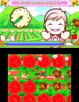 Gardening Mama 2: Forest Friends (3DS)