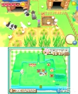 Harvest Moon: A New Beginning (3DS)