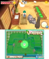 Harvest Moon: A New Beginning (3DS)