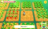 Story of Seasons (3DS)