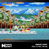 Cartridge pro retro herní konzole Evercade - Data East Arcade 2