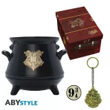 Dárkový set Harry Potter - Gift Set Premium (hrnek, odznak, klíčenka) - Zápisník
