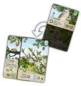 Desková hra Smíšený les: Pomezí (rozšíření)