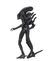 Figurka Alien - Big Chap (NECA)