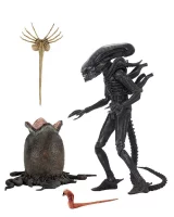 Figurka Alien - Big Chap (NECA)