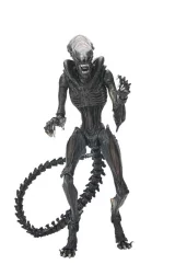 Figurka Alien: Romulus -  Scorched Xenomorph Ult Af (NECA)