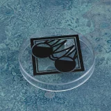 Figurka Jujutsu Kaisen - Satoru Gojo High School Ver. (Nendoroid)