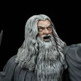 Figurka Lord of The Rings - Gandalf in Moria (SD Toys)
