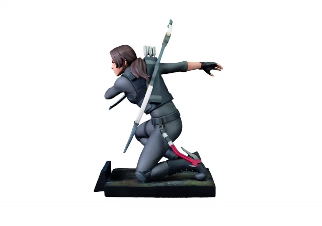 Tomb Raider sběratelská edice