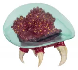 Figurka World of Nintendo - Ultraviolet