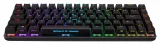 Herní klávesnice ASUS ROG FALCHION ACE Black (NX RED / PBT ) - US