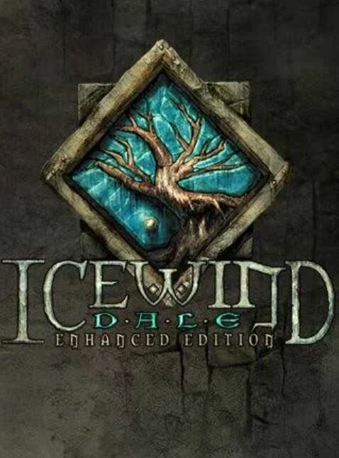 Icewind Dale: Enhanced Edition (PC)