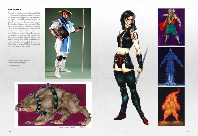 Flawless Victory artbook