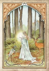 Kniha Zaklínač - Kontinent