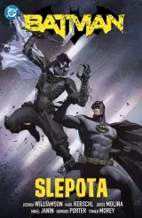 Komiks Batman 7: Slepota