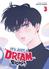 Komiks It's Just a Dream... Right?! Vol.3 ENG