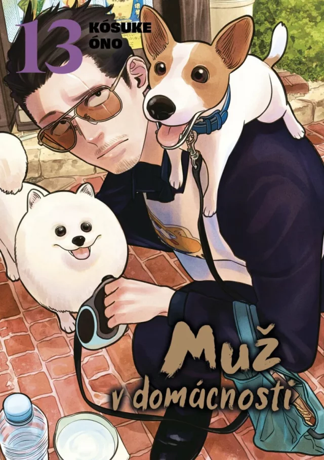 Komiks Muž v domácnosti 13