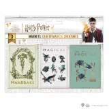 Magnet Harry Potter - Care of Magical creatures (3 ks)