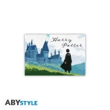 Magnet Harry Potter - Harry & Hogwarts