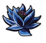 Odznak Magic: The Gathering - Black Lotus Pin Set