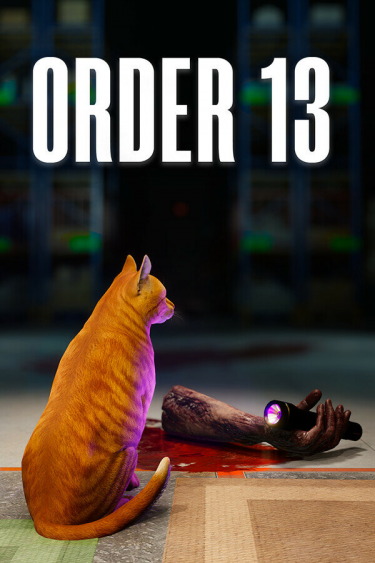 ORDER 13 (DIGITAL)