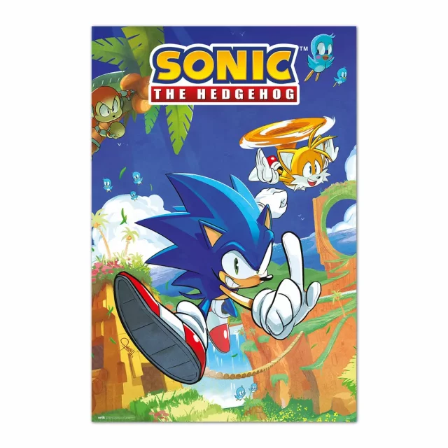 Plakát Sonic The Hedgehog - Sonic & Tails