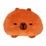 Polštář Capybara - 3D Cusion