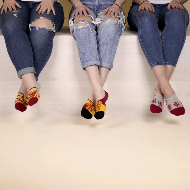 Ponožky Harry Potter - Hogwarts (velikost 41/46) (3 páry)