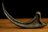 Replika Jurassic Park - Raptor Claw