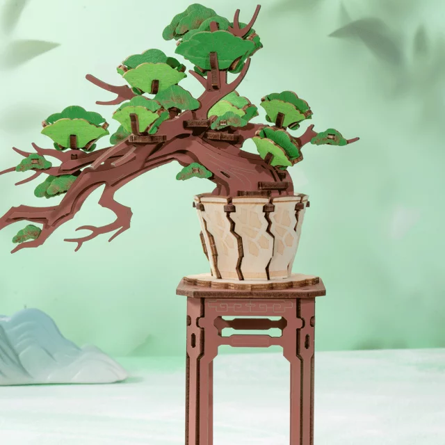 Stavebnice - Evergreen Pine Bonsai (dřevěná)