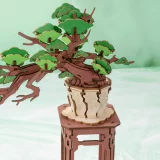 Stavebnice - Evergreen Pine Bonsai (dřevěná)