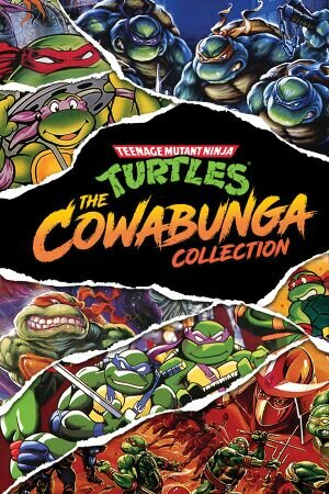 Teenage Mutant Ninja Turtles: The Cowabunga Collection (PC)