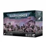 W40k: Emperors Children - Tormentors (10 figurek)