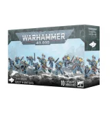 W40k: Space Wolves - Grey Hunters (10 figurek)