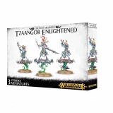 W-AOS: Disciples of Tzeentch - Tzaangor Enlightened (3 figurky)