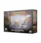 Warhammer Necromunda: Ash Waste Nomads - Ashwing Helamites (3 figurky)