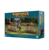 Warhammer The Old World - Beastmen Brayherds - Battalion (61 figurek)