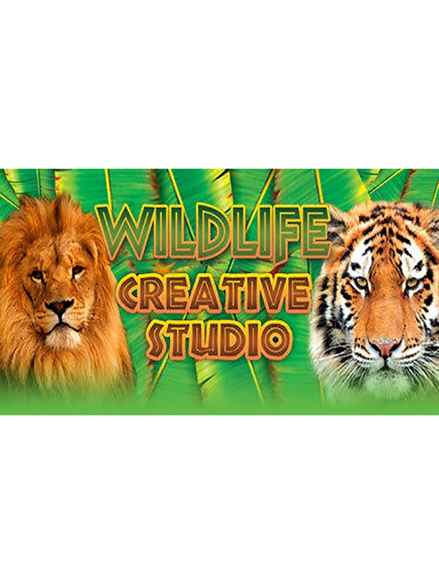 Wildlife Creative Studio (PC) Steam (PC)