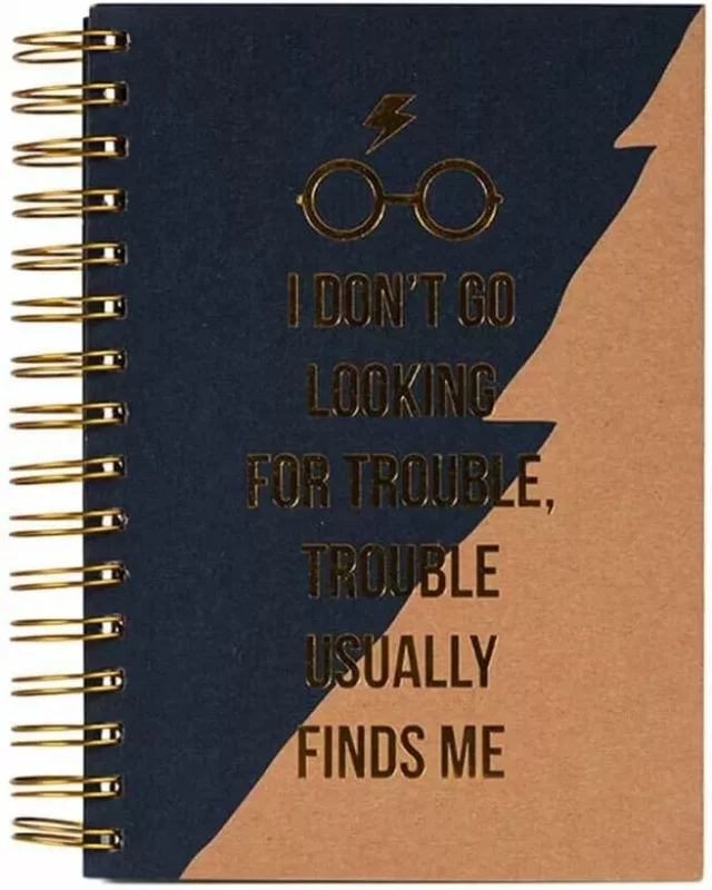 Zápisník Harry Potter - Trouble Finds Me