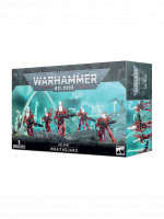 W40k: Aeldari - Wraithguard (5 figurek)