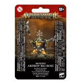 W-AOS: Orruk Warclans - Ardboy Big Boss