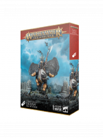 W-AOS: Stormcast Eternals - Iridan the Witness (1 figurka)