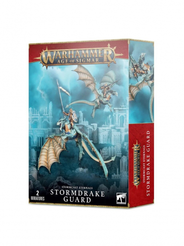 W-AOS: Stormcast Eternals - Stormdrake Guard (2 figurky)