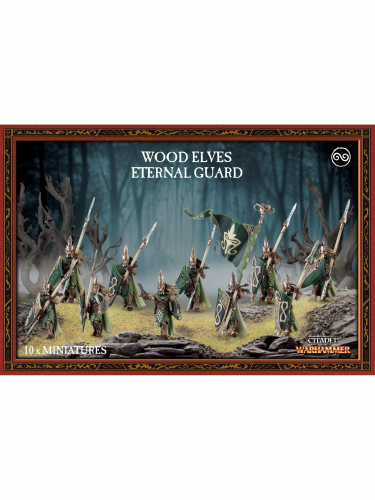 W-AOS: Wood Elves - Eternal Guard (10 figurek)