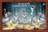 W-AOS: Wood Elves - Sisters of the Thorn (5 figurek)