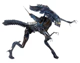 figurka (NECA) Aliens - Xenomorph Alien Queen